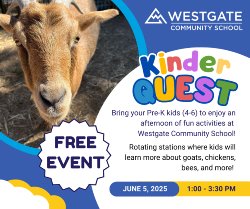 Kinder Quest